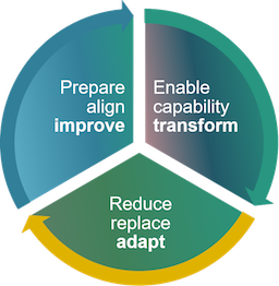 Graphic showing a circle split into 3 segments: Prepare, align - improve; Enable capability - transform; and Reduce, replace - adapt